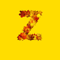 Colorful autumn leaves isolated on yellow background as letter Z.