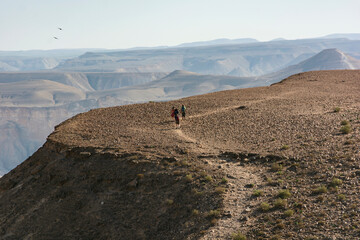 a small group of hikers trekking across a mt zaror a barren desert plateau in the zin valley in israel with two birds and desert mountains in the background