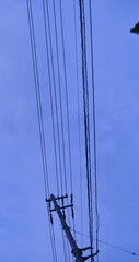 Fototapeta premium power lines
