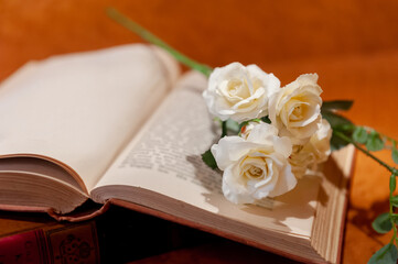 バラと洋書　インテリア　イメージ