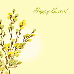  Illustration of flowering branches of willow