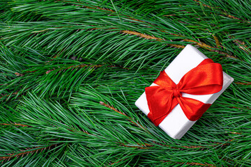 Christmas background. Christmas tree branches and gift box with red bow. Christmas decoration.