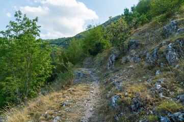 Vista lungo il sentiero 109AG da Poggio San Romualdo a Castelletta nelle Marche
