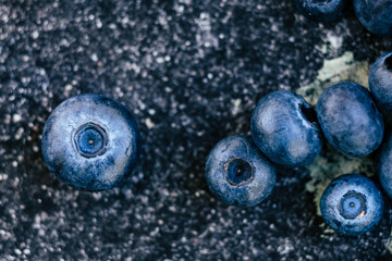 Myrtilles fraichement cueillies au jardin