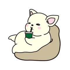 ソファーで寛ぐ太ったチワワ