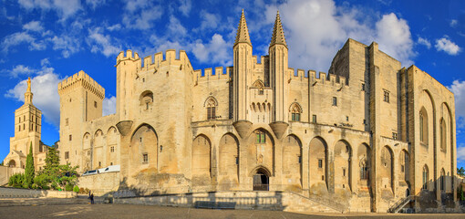 Avignon, Palace of the Popes, Vaucluse, France - obrazy, fototapety, plakaty
