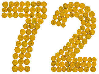 Arabic numeral 72, seventy two, from yellow flowers of tansy, isolated on white background