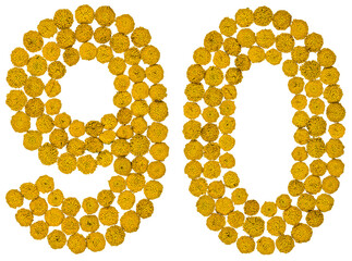 Arabic numeral 90, ninety, from yellow flowers of tansy, isolated on white background