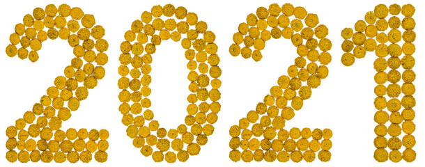 Numeral 2021 from yellow flower of tansy, isolated on white background