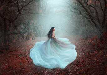 Blurred silhouette of running fairy girl in motion. Beautiful woman fantasy princess in lush dress....