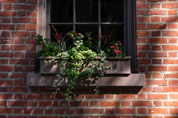 Fototapeta na wymiar Beautiful Window Sill Flower Box with Flowers on an Old Brick Building in New York City during Summer