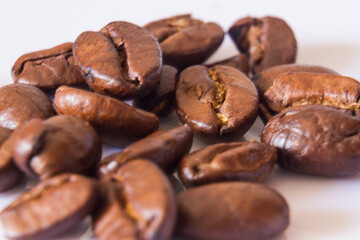 Granos de café de altura tostado 