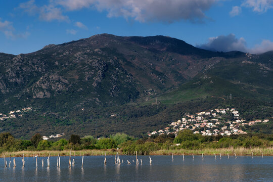 Biguglia lagoon in the eastern coast of Corsica