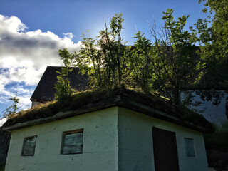 Perfect symbiosis of nature and architecture.