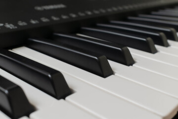 Musical background. Black and white keyboard