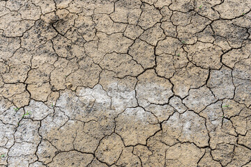Close-up of Land with dry and cracked soil ground in summer, background image, top view. Global warming effect.