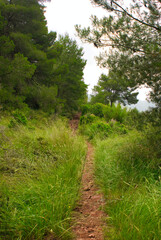 The desert of the palms in benicasim