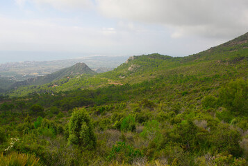 Fototapeta premium The desert of the palms in benicasim