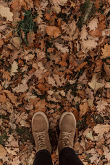 Woman's legs in brown shoes with lacing on fallen leaves. Beautiful autumn background with grass and leaves top view.
