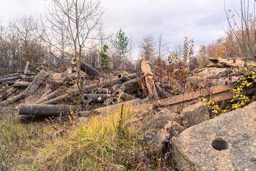 A scree slope is not just a pile of rock debris, but also a testimony to geological history.