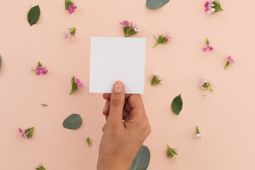 Obraz premium Person holding white paper over flowers and petals on pink