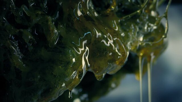 Slimy Alien Growth Dripping Closeup