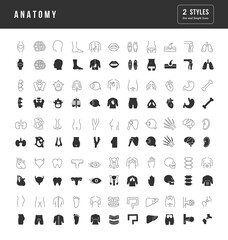 Set of simple icons of Anatomy