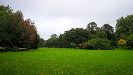 Green open area in park 
