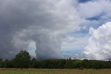 Cumulonimbus calvus - rain cloud that stretches vertically upwards but has not yet reached its height Cumulonimbus incus
