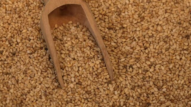 Sesame Seeds Natural dry raw organic food grain, Top view background, Agriculture harvest concept