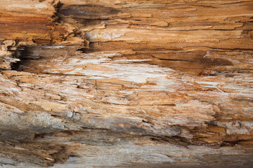 Fototapeta na wymiar Wood texture