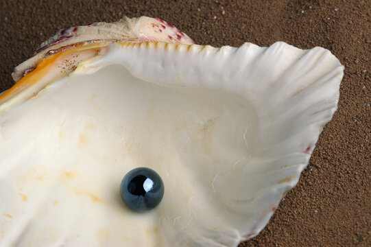 Black pearl in clam on beach sand