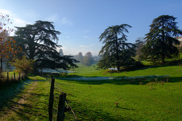 Fototapeta na wymiar Misty morning in the field in west lyonnais - Lyon France