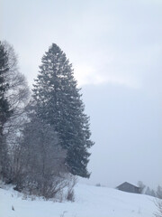Winter mountain hiking tour to Hornle mountains, Bavaria, Germany