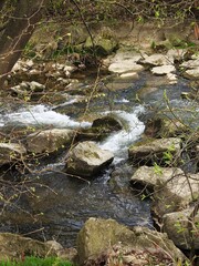 Fluss