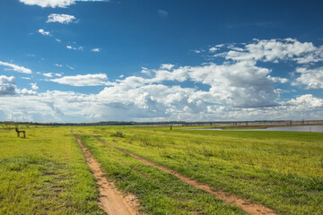Obraz premium Car Path Through Green Grass Leading to a Reservoir with Blue Sky and White Clouds