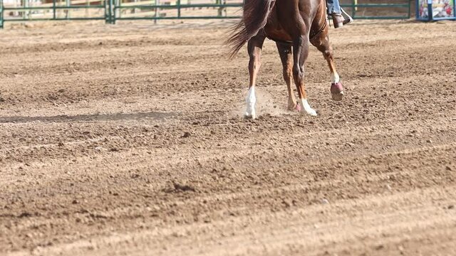  Sorrel horse with white socks wearing protective boots canters in a straight line on the left lead in a dusty arena.