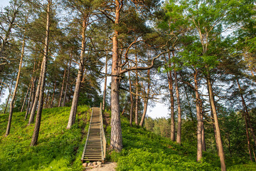 Fototapeta premium The Hill Fort of Naujoji Reva in Silenai cognitive park near Vilnius, Lithuania