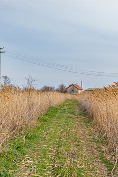 landscape with farm