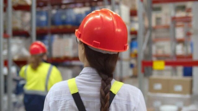 Back view of warehouse workers walking in aisle between rows of tall shelves
