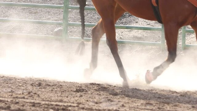  Horses hooves wearing protective gear trotting in a dusty arena slow motion.