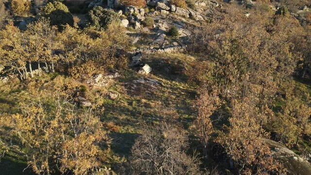 Drone view footage in the mountain with trees and ways in the sunrise. There is a lot of rocks and trees in the autumn colors