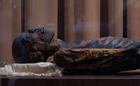 Saint Petersburg, Russia - March 8, 2018: A picture of a mummified body taken inside the Hermitage museum.