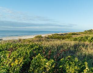 Fototapeta premium White sand beache at Indian Rocks Beach on the west coast of Florida