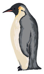 Obraz premium Emperor penguin. Hand drawn vector animal illustration. Realistic colored drawing of wild bird. Cartoon picture isolated on white. Single element for design, print, card, decor, sticker, typography.