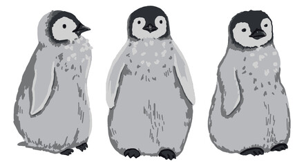 Cute emperor penguin chicks. Collection of hand drawn vector animal illustration. Realistic cartoon colored drawing of wild bird isolated on white. Elements set for design, print, card, decor, sticker