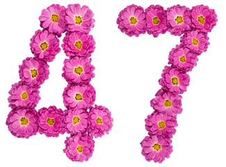 Arabic numeral 47, forty seven, from flowers of chrysanthemum, isolated on white background