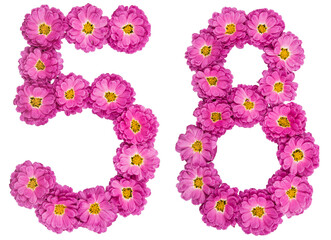 Arabic numeral 58, fifty eight, from flowers of chrysanthemum, isolated on white background