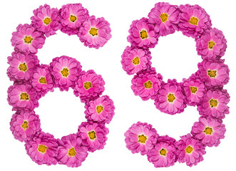 Arabic numeral 69, sixty nine, from flowers of chrysanthemum, isolated on white background