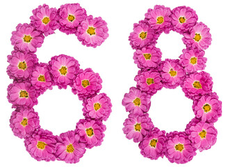 Arabic numeral 68, sixty eight, from flowers of chrysanthemum, isolated on white background